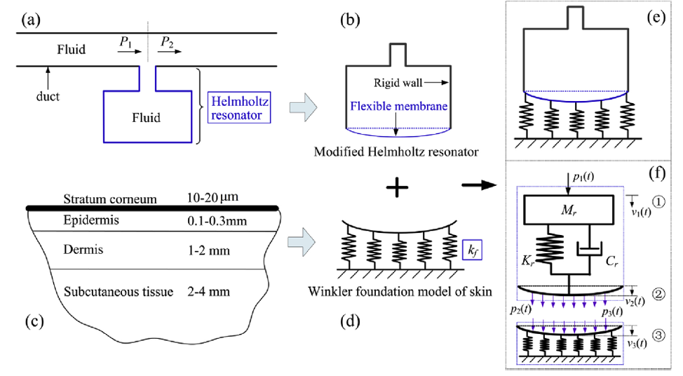 A Helmholtz resonator on elastic foundation for measurement of the elastic coefficient of human skin.PNG