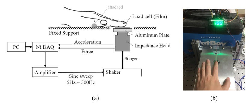 Feasibility study on person identification utilizing frequency response functions of human fingers.PNG