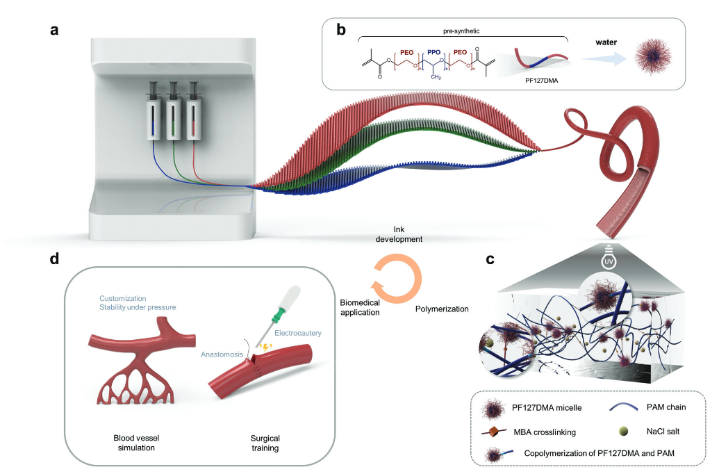 Hydrogel Ink for 3D Printing with High and Widely Tunable Mechanical Properties via the Salting-Out Effect.PNG